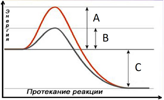 Республиканская олимпиада по биологии - 9 класс (2023 года) (с ответами).