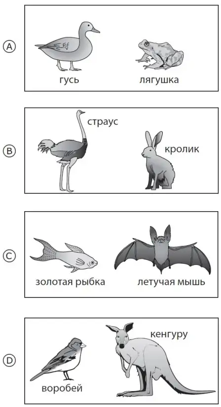МОДО 4 класс - пробное онлайн тестирование - Класс-KZ