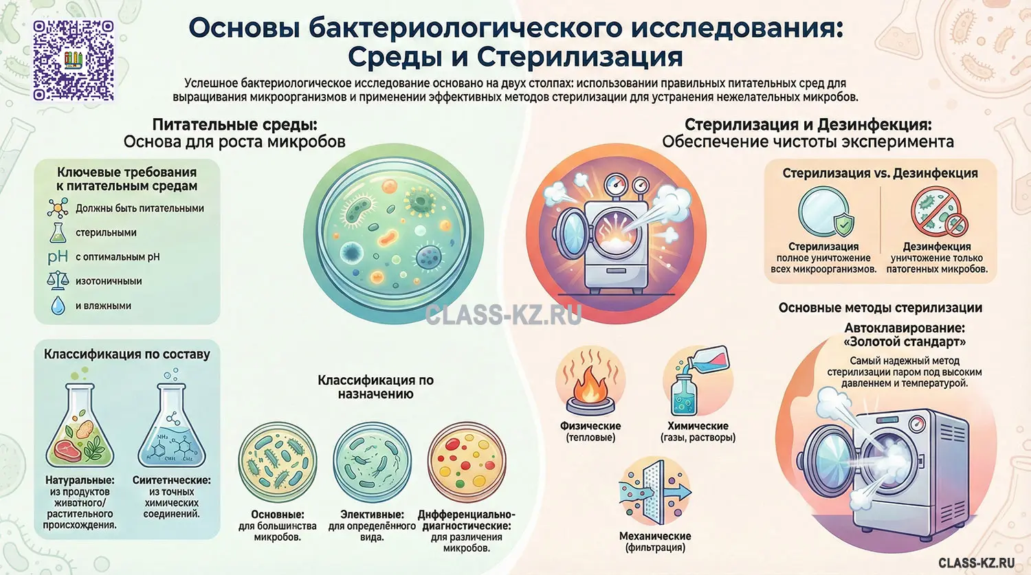 основы-бактериологического-исследования