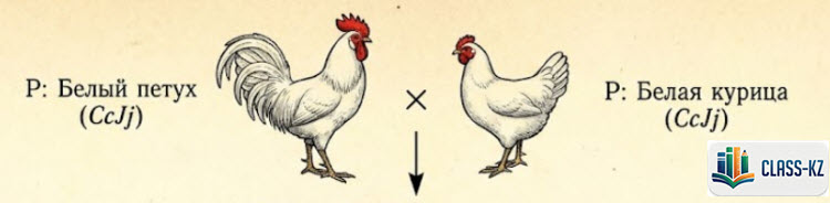 эпистаз-курицы