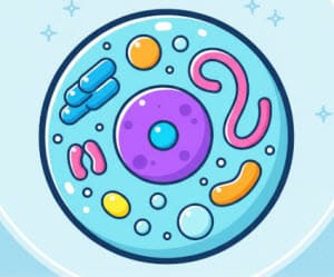 онлайн игра строение растительной и животной клетки